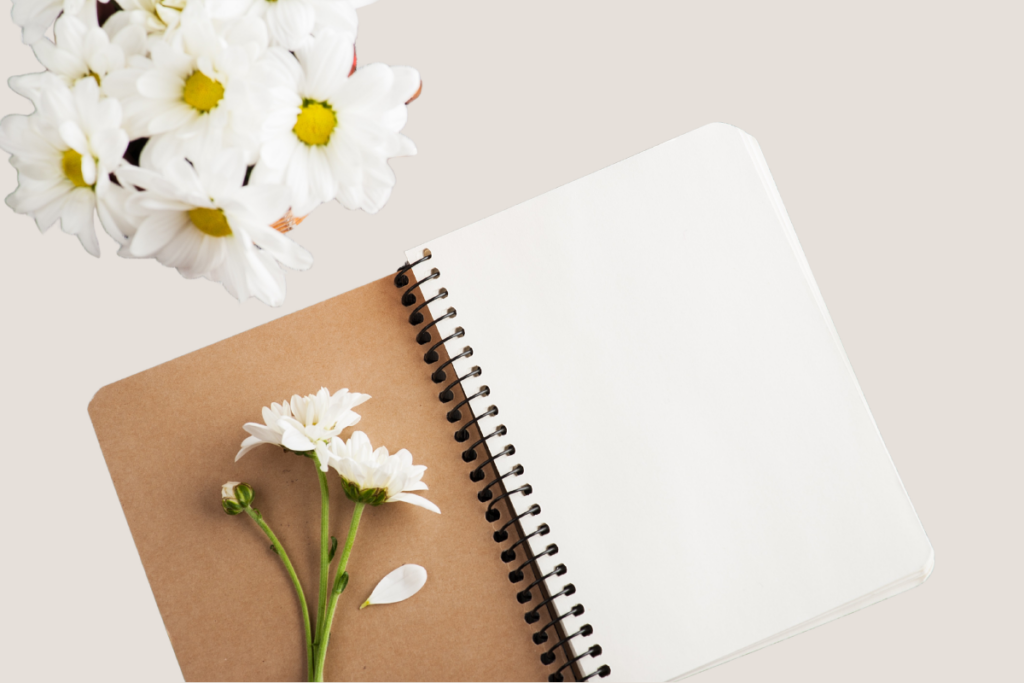 Coaching, Coaching für Frauen, Resilienz, Stressbewältigung